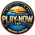 playnow789 เว็บพนันที่ให้มากกว่าการเดิมพัน ความสนุกไม่มีขีดจำกัด